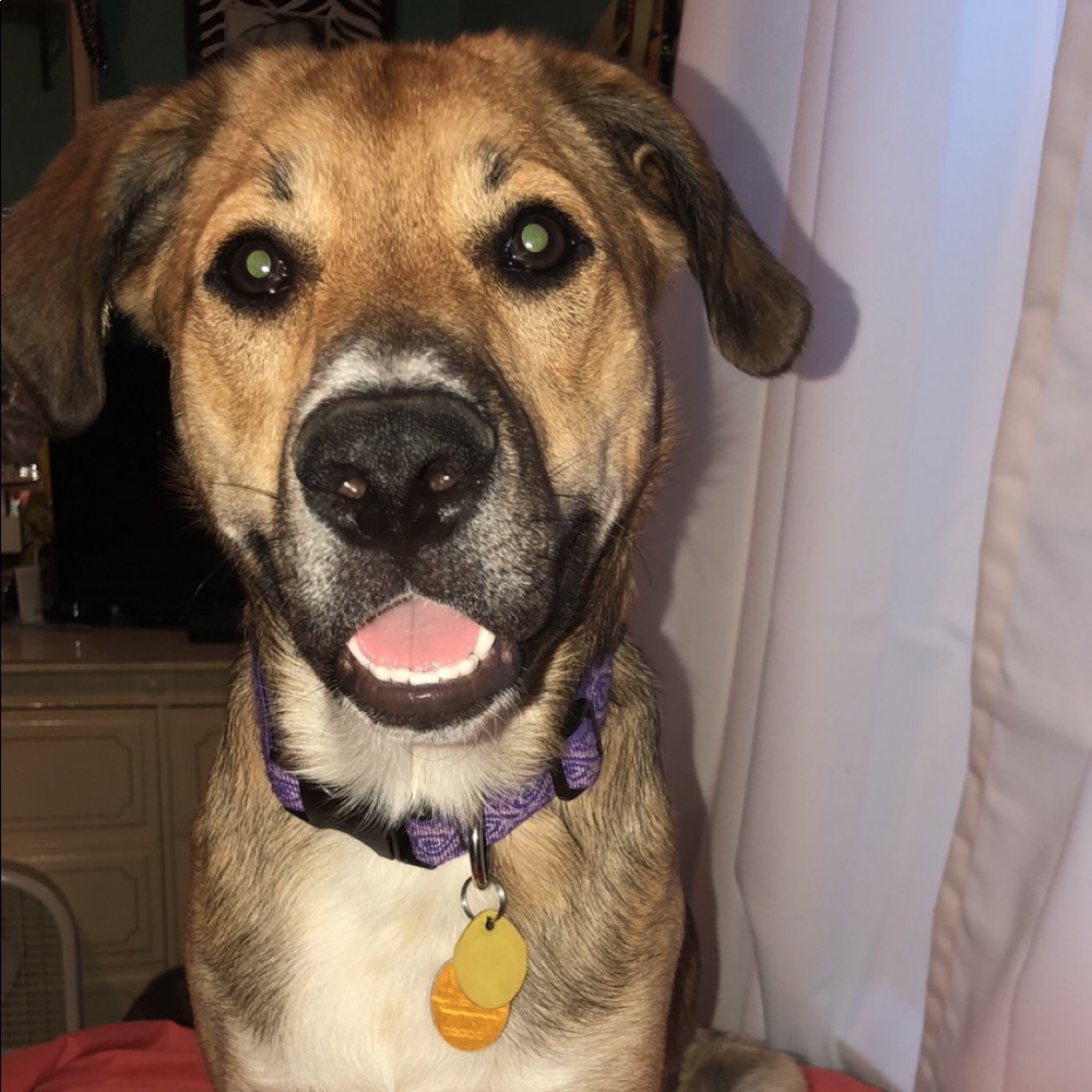 Meet your Posher, Nicole